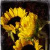 Zonnebloemen von Peter Baak