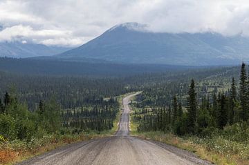 Denali Highway Alaska van Dirk Fransen
