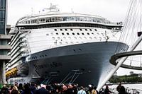Harmony of the Seas | Rotterdam | 2016