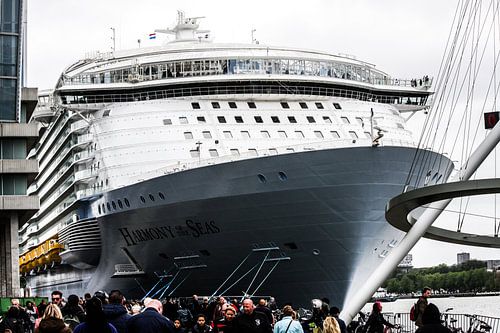 Harmony of the Seas | Rotterdam | 2016