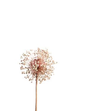 Minimalisme