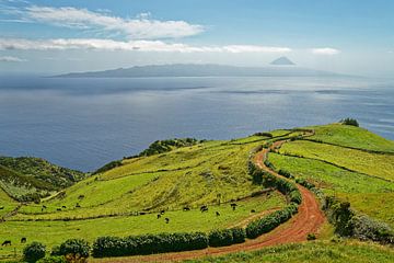 Azores - View to the volcano Pico by Ralf Lehmann