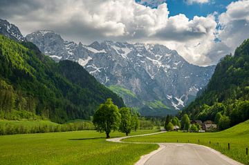 Das Logar-Tal in den Kamniker Savinja-Alpen in Slowenien im Frühling von Sjoerd van der Wal Fotografie