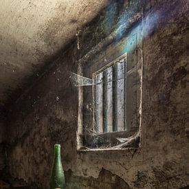 silence of the wine by Coco Goes Urbex