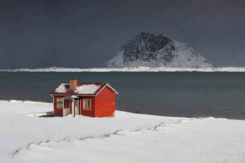 Hut Lofoten