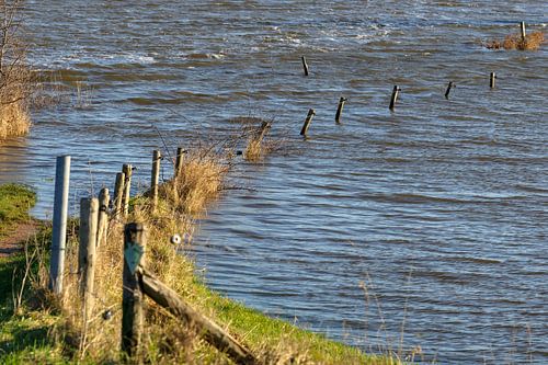 Overstroomde zandweg in een uiterwaard