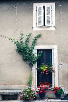 Cheerful French front door with flowers