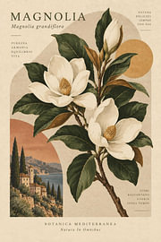 Magnolia & Lake Como by Dodik Hariyono