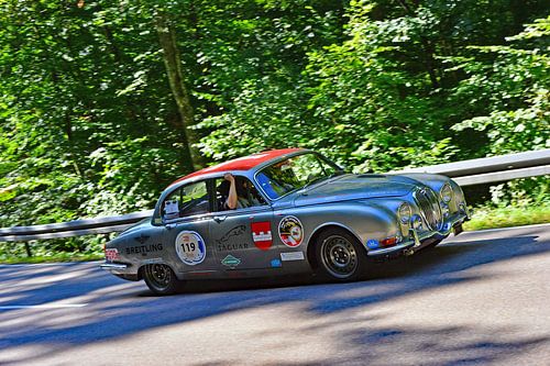 Jaguar 3.8 S Queen - Start 119 - Eggberg Klassiek 2025