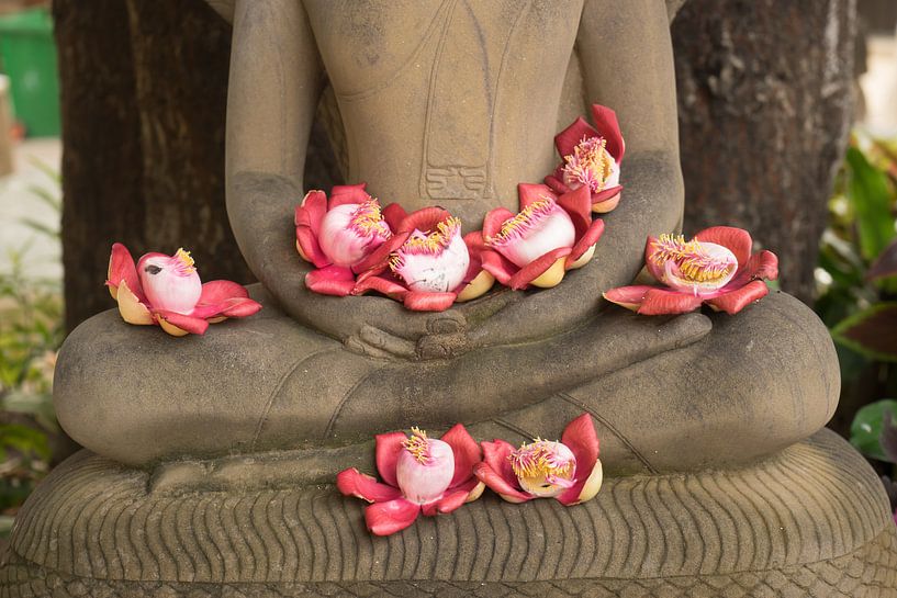 Bloemen op schoot bij Boeddhabeeld van Marja van Noort