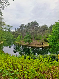 An idyllic little green island by Natuurfoto`s van Sas