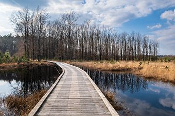 Pfad entlang des Hingsteveen in Drenthe von Evert Jan Luchies