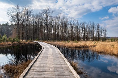 Path along the Hingsteveen in Drenthe