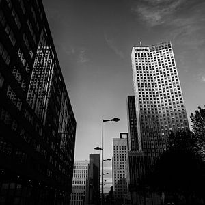 Mono Square Series XLII