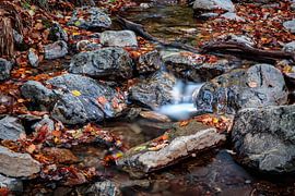 Ninglinspo by Rob Boon