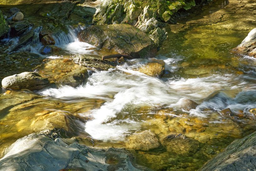 Rapid Water at the Glenn Moss Falls by Iris Holzer Richardson