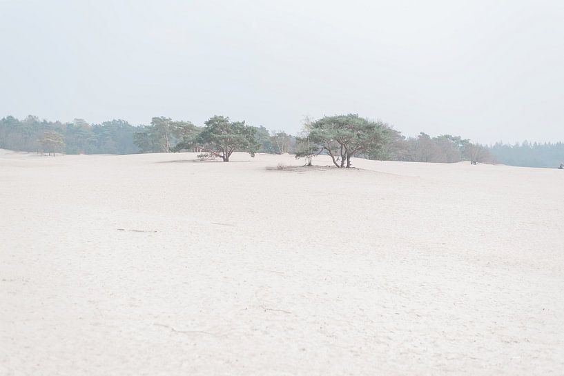 Soesterduinen van Georgina Fotografie