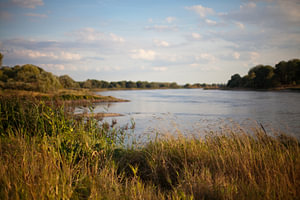 Die Elbe bei Magdeburg (Sachsen-Anhalt)