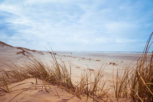 Der Herbst am Strand von Texel!