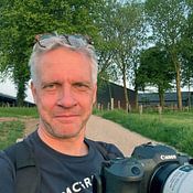 Ton Drijfhamer Profile picture