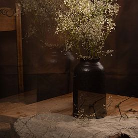 Gipskraut, Doppelbelichtung von SO fotografie