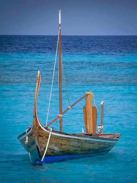 Boot in het blauw van Eric Nagel