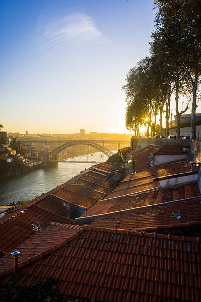 Porto by Hello Pompoyo