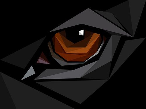 Abstract bruin oog zwarte achtergrond