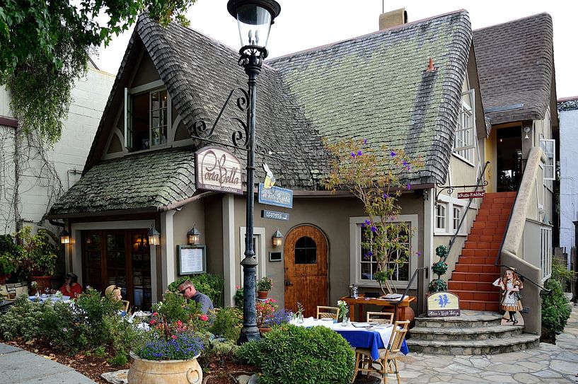 The white rabbit by Frank's Awesome Travels