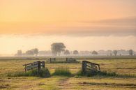 Rural picture in the Alblasserwaard by Leon Okkenburg thumbnail