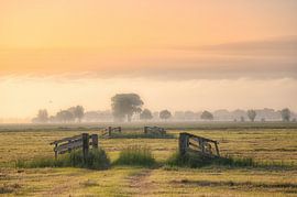 Rural picture in the Alblasserwaard by Leon Okkenburg