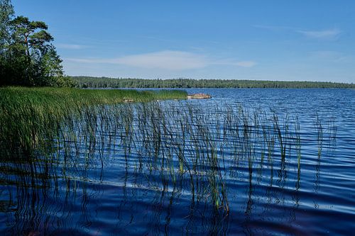 Meer in zweden