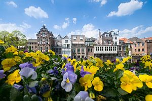Die Niederlande von ihrer schönsten Seite von Kristof Ven