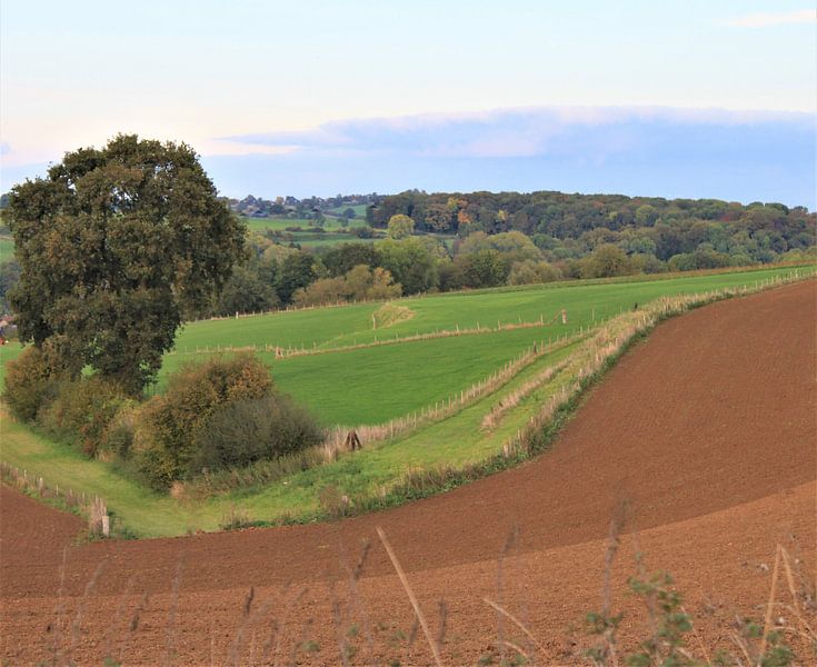 hilly country by Roger Hagelstein