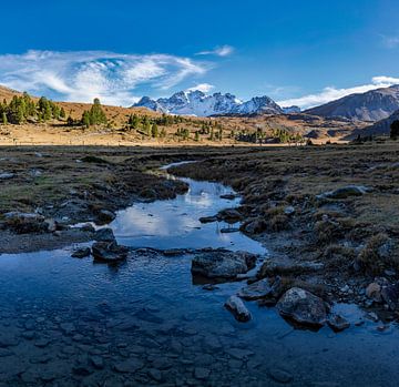 Ova da Buffalora, Torbierra Jufplaun, Ofenpass, Tschierv, Graubünden, Engadin, Zwitserland van Rene van der Meer