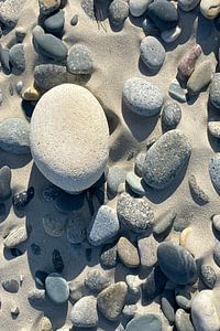 Großer, heller Kieselstein inmitten dunklerer Strandsteine
