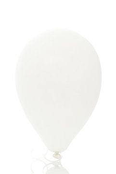 Ballon/Balloon van Tanja van Beuningen