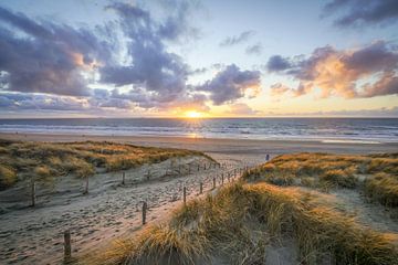 strandleven aan de kust van Dirk van Egmond