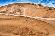 Schönheit der Namib Wüste, Namibia von W. Woyke Miniaturansicht