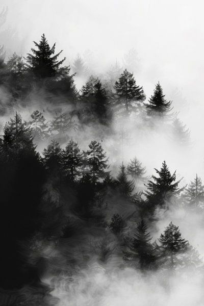 Mystical forest landscape in the fog by Poster Art Shop
