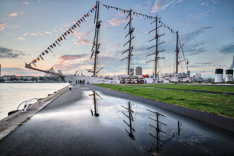 Rotterdam by Eric van Nieuwland