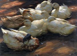 Ducks lying on the ground, ALEXANDER KOESTER, ca. 1905-1908 by Atelier Liesjes