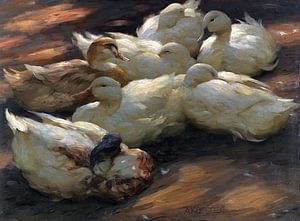 Enten am Boden lagernd, ALEXANDER KOESTER, Ca. 1905-1908