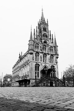 Gouda stadhuis van Sharonne Verkaik