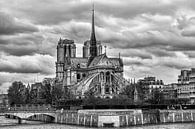 Notre-Dame de Paris en noir et blanc par Chihong Aperçu