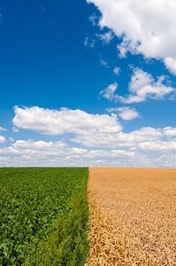 Terres agricoles sur Wim Slootweg