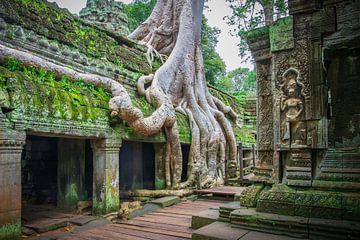 Angkor Wat van Antwan Janssen