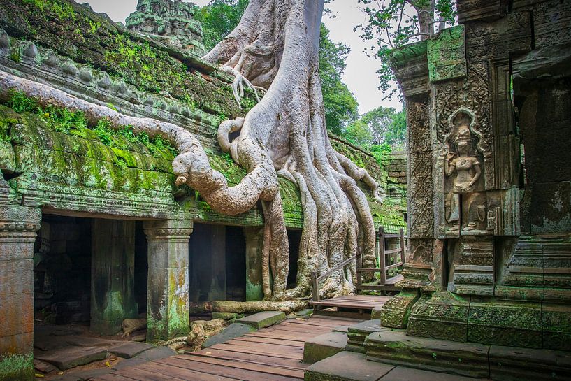 Angkor Wat by Antwan Janssen