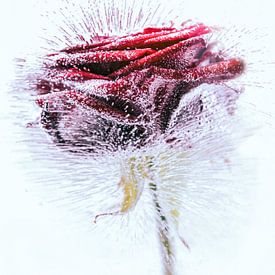 De roos van Fotografie & Digital Art von Margit Lisa Roeder