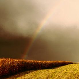 Regenboog boven korenveld van Assia Hiemstra